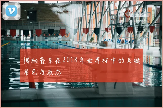揭秘普京在2018年世界杯中的关键角色与表态