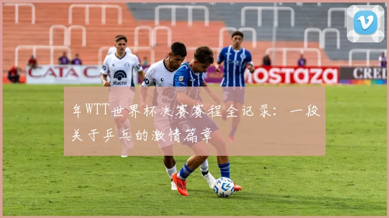 年WTT世界杯决赛赛程全记录：一段关于乒乓的激情篇章