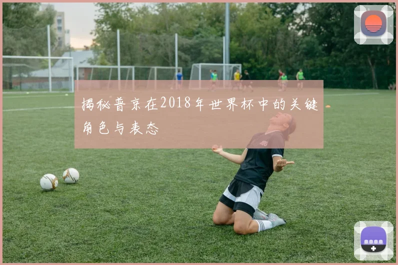 揭秘普京在2018年世界杯中的关键角色与表态