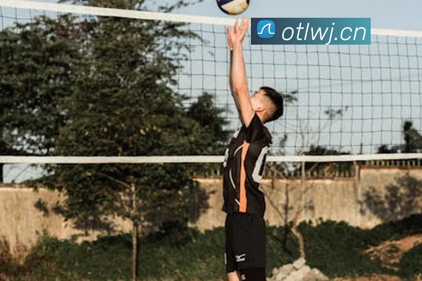 米兰在线登录官网平台生态图