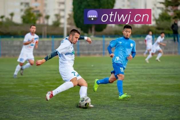 奖项证书
